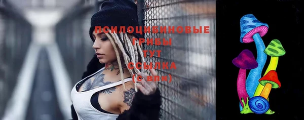 mdpv Гусь-Хрустальный