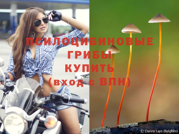 мефедрон Гусев
