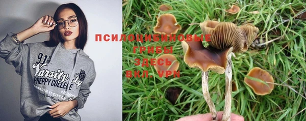 mdpv Гусь-Хрустальный