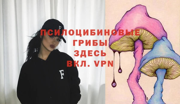 mdpv Гусь-Хрустальный