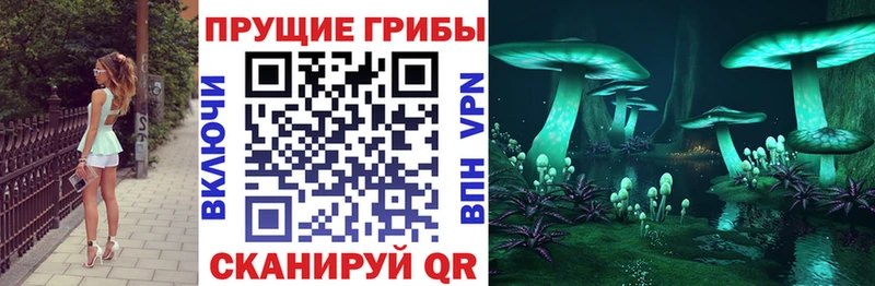 цена   Печоры  Галлюциногенные грибы прущие грибы 